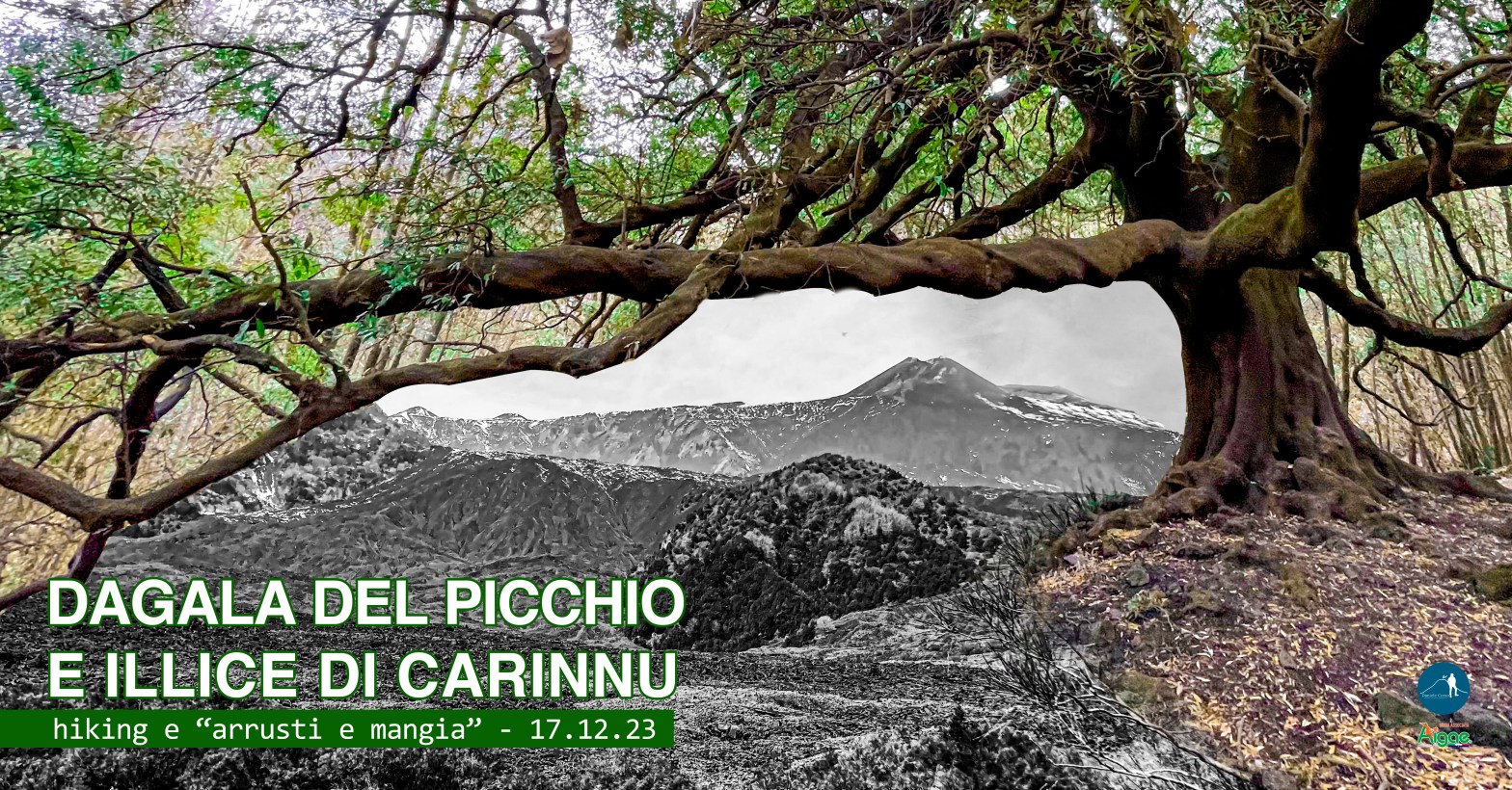 Escursione Etna 17 dicembre