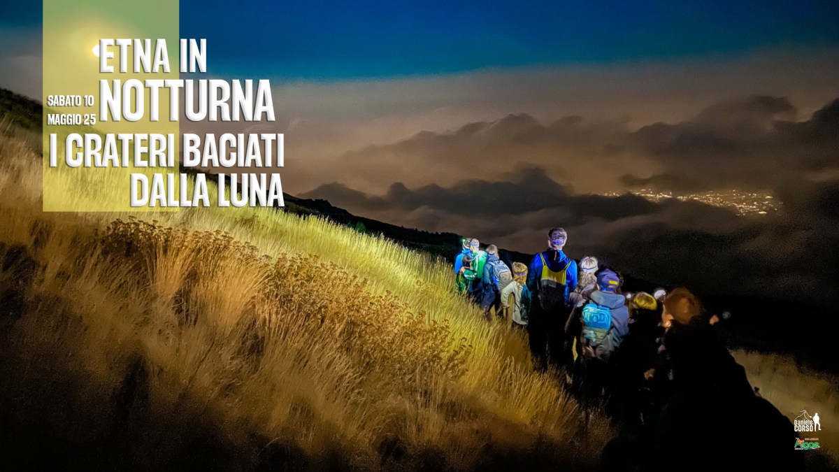 ETNA IN NOTTURNA | I crateri baciati dalla&nbsp;luna
