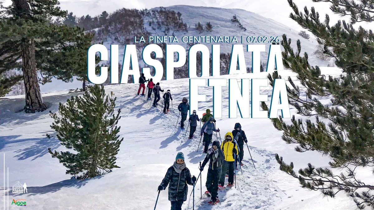 CIASPOLATA ETNEA – La pineta&nbsp;centenaria