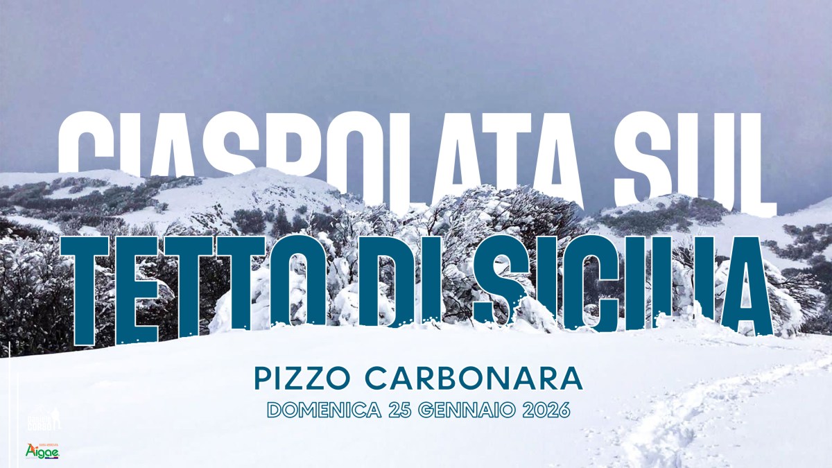 CIASPOLATA SUL TETTO DI SICILIA |PIZZO&nbsp;CARBONARA